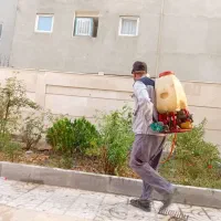 تمامی کار هایی باغبانی و سم پاشی در مشهد