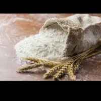فروش آردسفید (۲۱ درصد) اندیمشک و دزفول