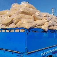 ماکارونی باز