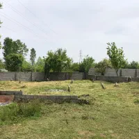 ۲۵۰ متر زمین ویلایی در منطقه برند کلاچان