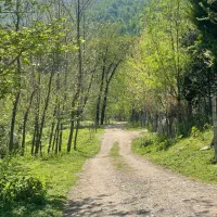 ویلای-دوخواب-روبه-رودخانه