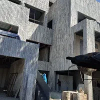 شاگرد کناف وارد