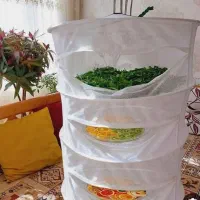 توری خشک کردن میوه و سبزی