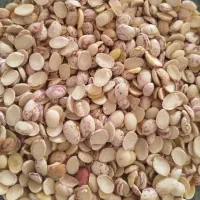 لوبیای لپه چیتی