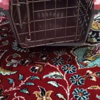 باکس پت(حیوانات)