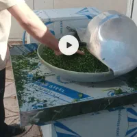 دستگاه سبزی خردکن صنعتی