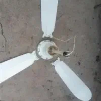 پنکر سقفی