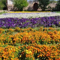 سفر خارجی طبیعت گردی تفریحی ورزشی