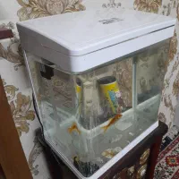 پول لازمم