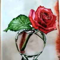 نو سایز ا۵