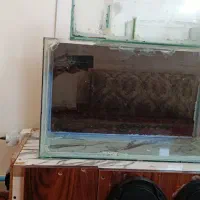 لجنخور و آکواریوم