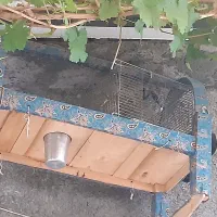 گهواره