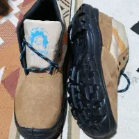 کفش کار