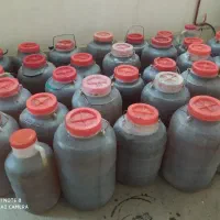 عسل مرکبات و جنگل درجه یک عمده