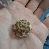 شهاب سنگ قیمتی