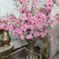گل شکوفه صورتی