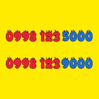 0998-123-9000