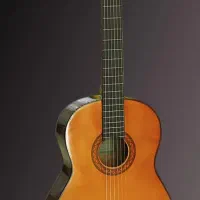 گیتار c70 اندونزی بشرط اصلی و تایید هر استادی