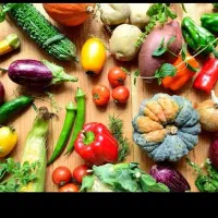 فروش انواع سیفی جات واسه صادرات
