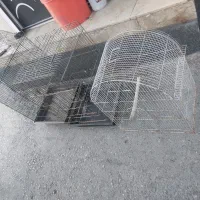 قفس پرنده