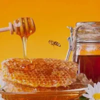 عسل|خوردنی و آشامیدنی|استهبان, |دیوار