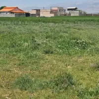 زمین   در چاه بلند