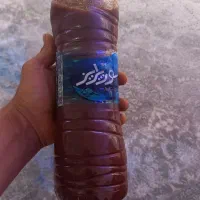 رب گوجه