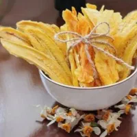 دستگاه های خشک کن میوه زردالو سیبvpa5