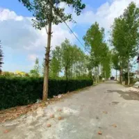 زمین-ساخت-و-ساز-مدارک-کامل-شهرک-برند-قیمت1-250
