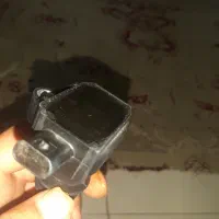 کوئل