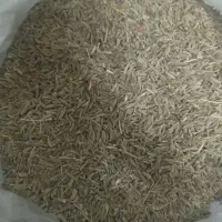 فروش زیره سبز محلی