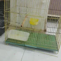 قفس پرنده