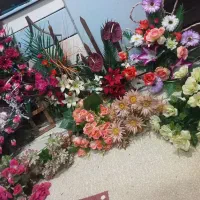 ۴عددباکس گل و۶عدد دسته گل