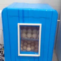 دستگاه جوجه کشی فول اتوماتیک