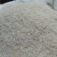 برنج طارم هاشمی درجه ۱