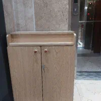 جاکفشی سالم