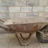 فرغون سالم