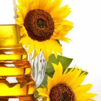 روغن خام طیور و دام آفتاب سویا گلزا