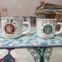 ماگ