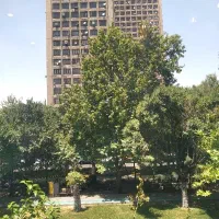 ۷۵متر سنداداری بر فاطمی فلت پارتیشن بندی