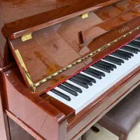 یاماها Piano|پیانو، کیبورد، آکاردئون|تهران, شیخ هادی|دیوار