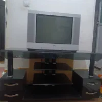 تلوزیون