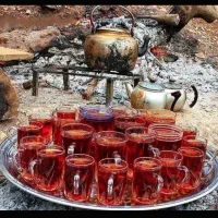 نیروی جوان برای چایخانه