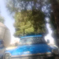 یونجه تمیز خشک تحویل دام داری