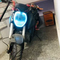 جکوار خارجی