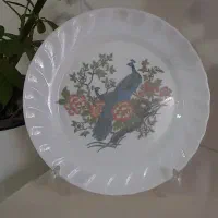 بشقاب و دیس قدیمی کلکسیونی همه باهم ۳۵۰