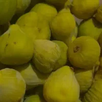 با سلام باغ دارم در خدمت مردم عزیزم