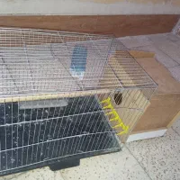 فروش قفس پرنده