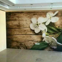 نصاب کاغذدیواری بلکا نقاشی ساختمان