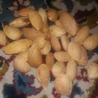 بادام شیرین